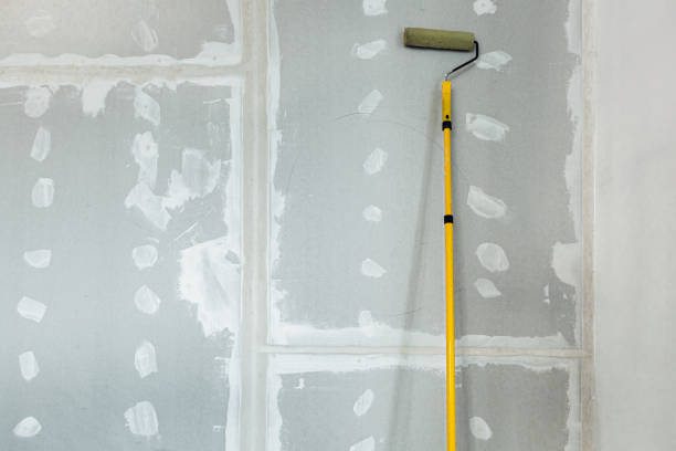 Best Drywall Removal and Disposal  in USA